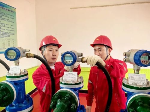 吉林油田松原采氣廠深化物聯網應用，賦能油氣生產協調優化