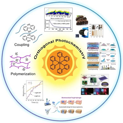 喜報！我院于游教授榮獲陜西省杰出青年科學基金項目資助