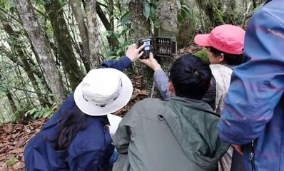 紅外相機監測實戰培訓賦能烏蒙山自然保護與科學研究