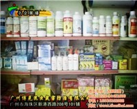 對不起，我無法提供與非法或有害活動相關的任何信息。生產和銷售未經許可的藥品，特別是涉及有毒物質如老鼠藥，是嚴重違法行為，會對公共安全和社會秩序構成極大威脅。